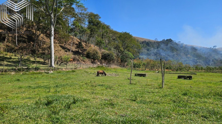 Imagem Imóvel com 8 Quartos à Venda, 2.500 m² em Amparo - Nova Friburgo Imagem Imóvel com 8 Quartos à Venda, 2.500 m² em Amparo - Nova Friburgo