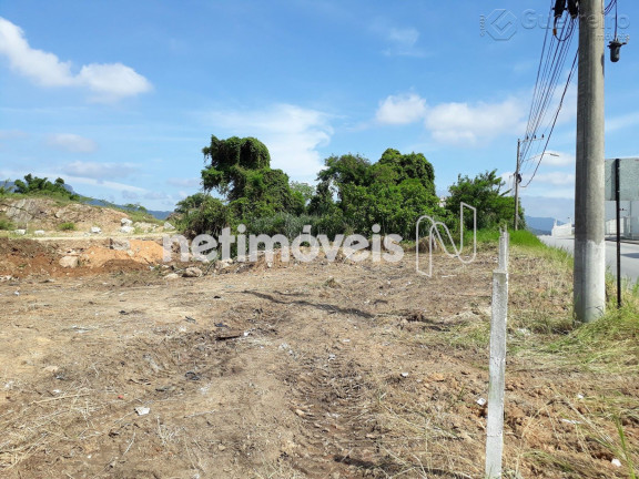 Imagem Terreno à Venda, 16.000 m² em Fazenda Santo Antônio - São José Imagem Terreno à Venda, 16.000 m² em Fazenda Santo Antônio - São José