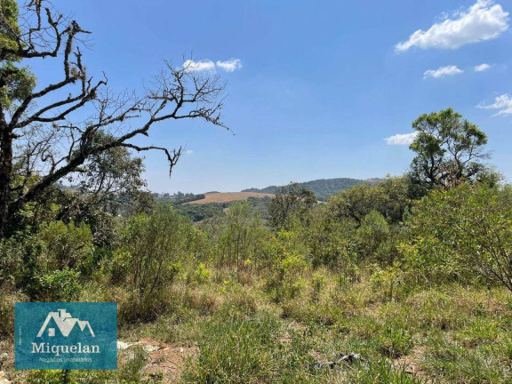 Imagem Fazenda à Venda, 2.000.000 m² em Ribeirão Fundo - Munhoz Imagem Fazenda à Venda, 2.000.000 m² em Ribeirão Fundo - Munhoz