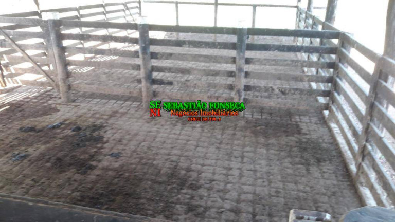 Imagem Fazenda à Venda, 1.200 m² em área Rural De Xinguara - Xinguara