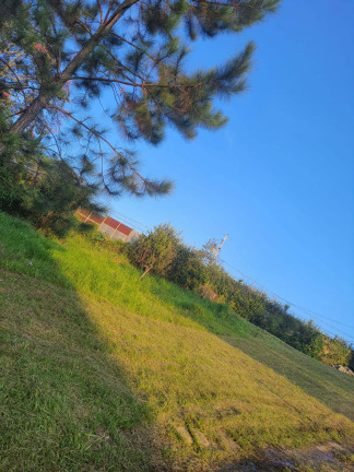 Imagem Chácara com 4 Quartos à Venda, 4.300 m² em Guararema