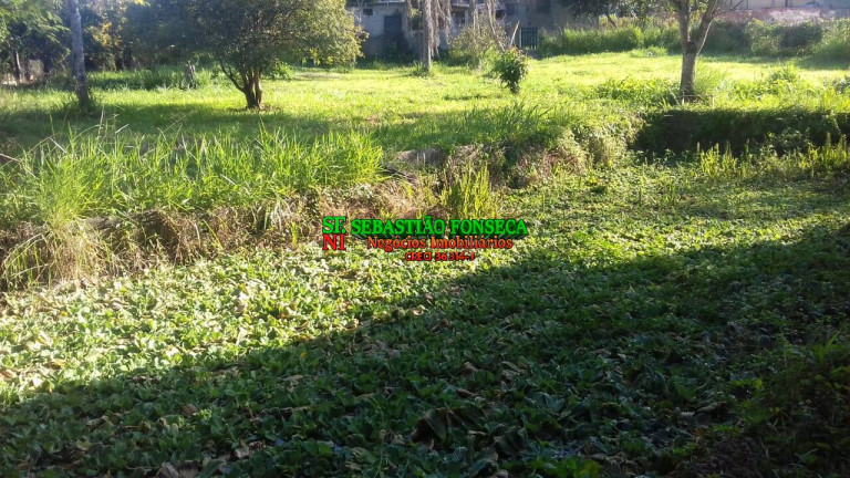 Imagem Chácara com 3 Quartos à Venda, 8 m² em Sob. Consulta - Jambeiro