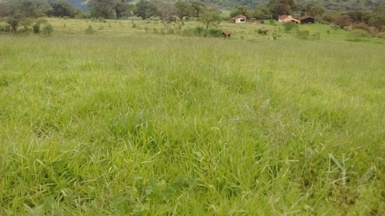 Imagem Imóvel com 6 Quartos à Venda, 146 m² em Centro - Socorro Imagem Imóvel com 6 Quartos à Venda, 146 m² em Centro - Socorro