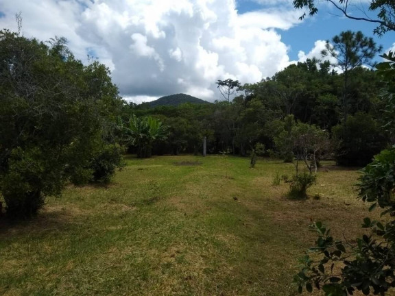 Imagem Imóvel Comercial à Venda, 260 m² em São João Do Rio Vermelho - Florianópolis Imagem Imóvel Comercial à Venda, 260 m² em São João Do Rio Vermelho - Florianópolis