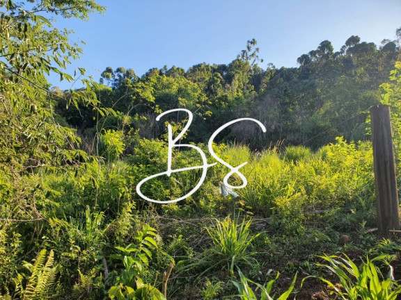 Imagem Imóvel à Venda, 16.000 m² em Estrada Arroio Kampf - Igrejinha Imagem Imóvel à Venda, 16.000 m² em Estrada Arroio Kampf - Igrejinha