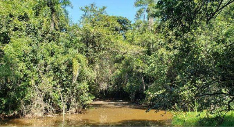 Imagem Terreno à Venda, 1.000 m² em Condomínio Fazenda Jequitibá - Sorocaba Imagem Terreno à Venda, 1.000 m² em Condomínio Fazenda Jequitibá - Sorocaba