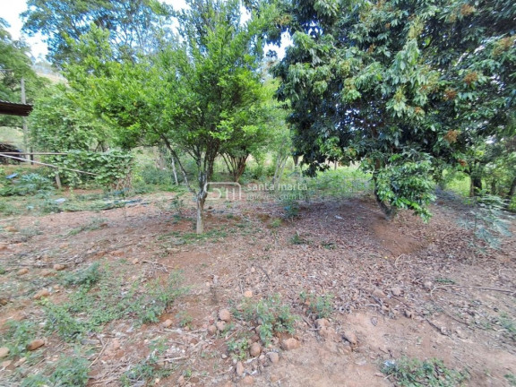 Imagem Imóvel com 4 Quartos à Venda, 215 m² em Bairro Do Ronco - Piquete Imagem Imóvel com 4 Quartos à Venda, 215 m² em Bairro Do Ronco - Piquete