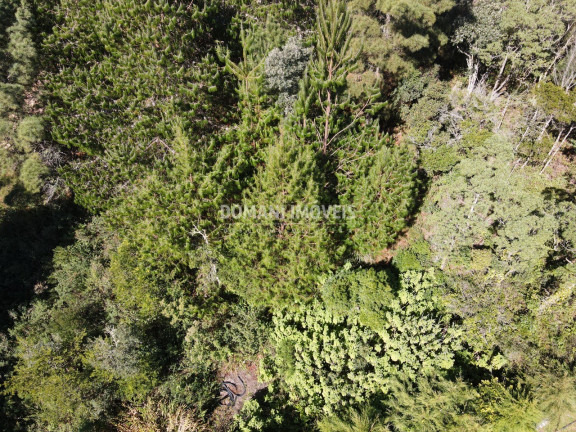 Imagem Terreno à Venda, 1.090 m² em Região Do Alto Do Capivari - Campos Do Jordão Imagem Terreno à Venda, 1.090 m² em Região Do Alto Do Capivari - Campos Do Jordão