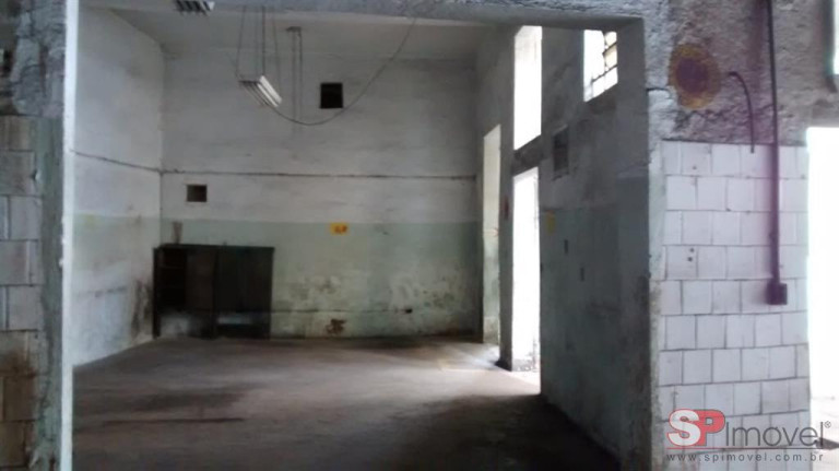 Imagem Imóvel com 1 Quarto à Venda, 918 m² em Chácara Mafalda - São Paulo Imagem Imóvel com 1 Quarto à Venda, 918 m² em Chácara Mafalda - São Paulo