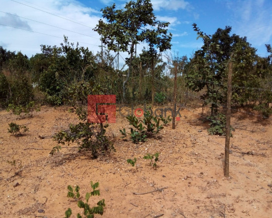 Imagem Imóvel à Venda, 3.500 m² em Centro - Montes Claros Imagem Imóvel à Venda, 3.500 m² em Centro - Montes Claros