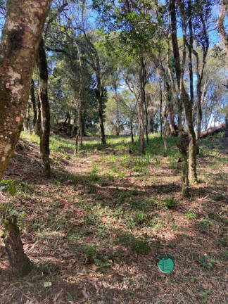 Imagem Imóvel à Venda, 5.000 m² em Interior - Alfredo Wagner Imagem Imóvel à Venda, 5.000 m² em Interior - Alfredo Wagner