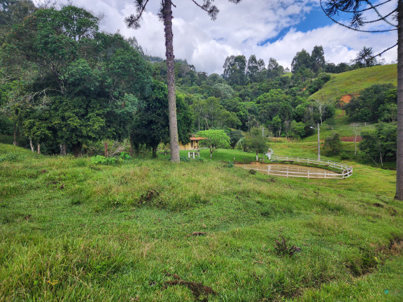 Imagem Imóvel com 3 Quartos à Venda, 77.860 m² em Zona Rural - Alfredo Wagner