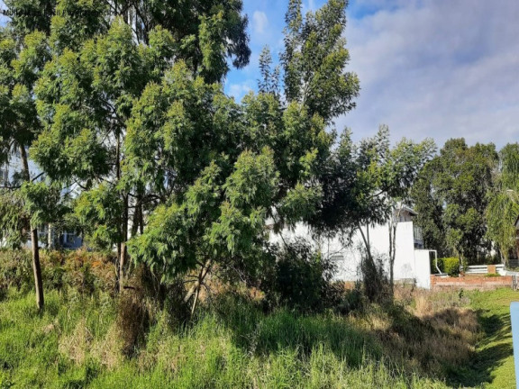 Terreno à Venda, 459 m² em Pousada Da Neve - Nova Petrópolis