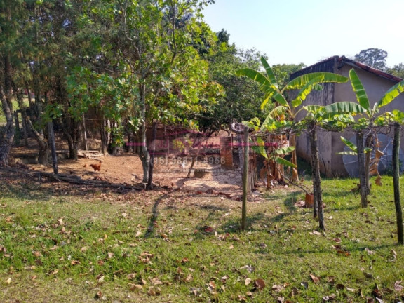 Imagem Chácara com 3 Quartos à Venda, 51 m² em Pinhais - Boituva Imagem Chácara com 3 Quartos à Venda, 51 m² em Pinhais - Boituva