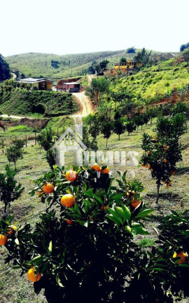 Imagem Fazenda à Venda, 1.500 m² em Fábrica - São Luiz Do Paraitinga