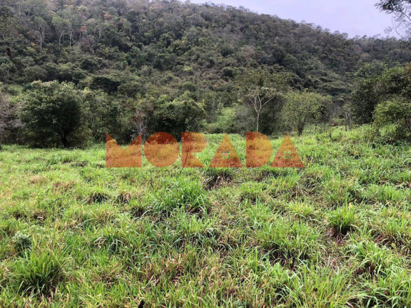 Imagem Fazenda à Venda, 10 m² em Zona Rural - Mundo Novo Imagem Fazenda à Venda, 10 m² em Zona Rural - Mundo Novo