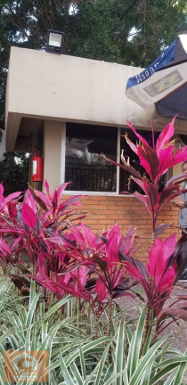 Imagem Apartamento com 1 Quarto à Venda, 50 m² em Vila Clementino - São Paulo Imagem Apartamento com 1 Quarto à Venda, 50 m² em Vila Clementino - São Paulo