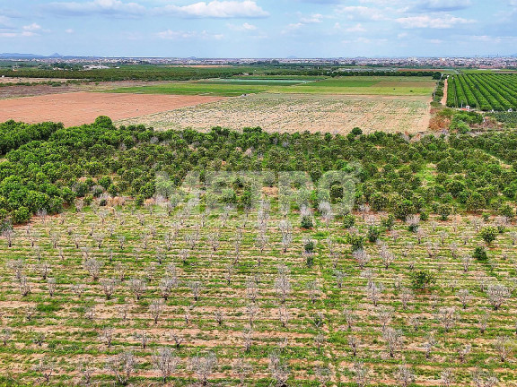 Imagem Fazenda à Venda, em área Rual - Petrolina Imagem Fazenda à Venda, em área Rual - Petrolina