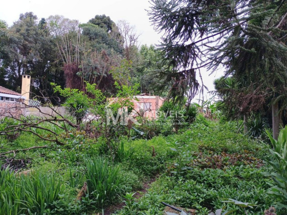 Imagem Terreno à Venda, em Vila Santa Maria - Piraquara Imagem Terreno à Venda, em Vila Santa Maria - Piraquara