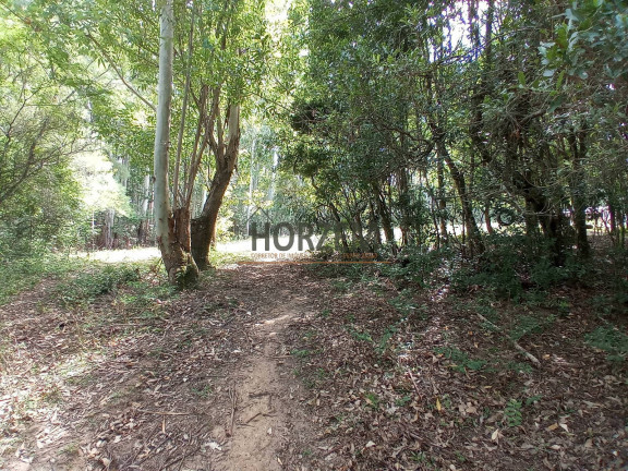 Imagem Chácara com 2 Quartos à Venda, 25.000 m² em Santo Onofre - Viamão