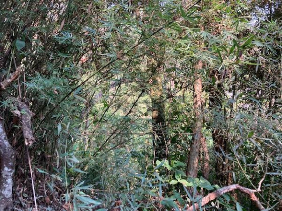 Terreno à Venda, 1.095 m² em Jardim Colibri - Embu Das Artes