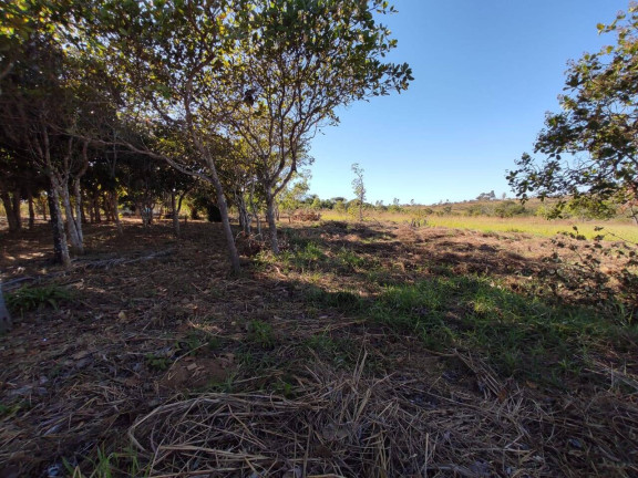 Imagem Chácara à Venda, 5.000 m² em Parque Las Vegas - Bela Vista De Goiás Imagem Chácara à Venda, 5.000 m² em Parque Las Vegas - Bela Vista De Goiás