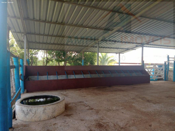 Imagem Fazenda à Venda, 98 m² em Esmeraldas Imagem Fazenda à Venda, 98 m² em Esmeraldas