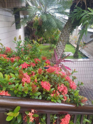Imagem Cobertura com 3 Quartos à Venda, 178 m² em Vila Guilhermina - Praia Grande