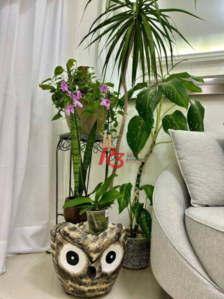 Imagem Apartamento com 1 Quarto à Venda, 50 m² em Centro - São Vicente
