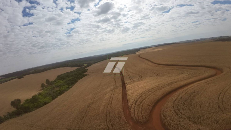 Imagem Fazenda à Venda,  em Zona Rural - Ibema