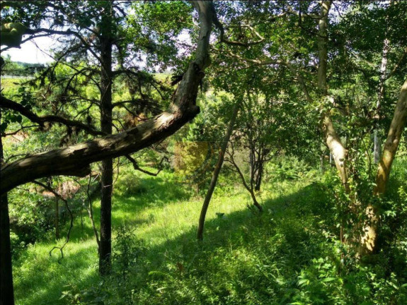 Imagem Terreno à Venda, 12.000 m² em Chácara Jaraguá - São Paulo Imagem Terreno à Venda, 12.000 m² em Chácara Jaraguá - São Paulo