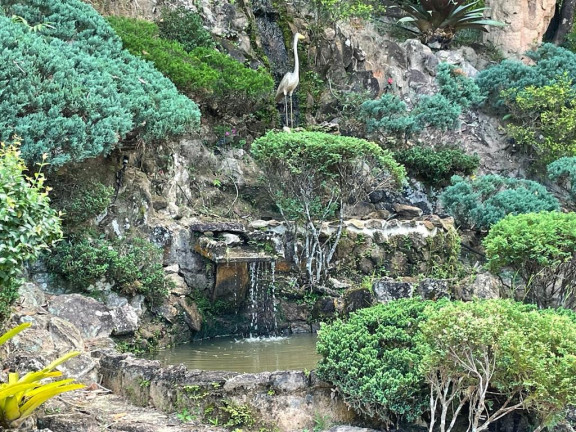 Imagem Imóvel com 12 Quartos à Venda, em 2.200.000,00//jardim Vitória - Esmeraldas Imagem Imóvel com 12 Quartos à Venda, em 2.200.000,00//jardim Vitória - Esmeraldas