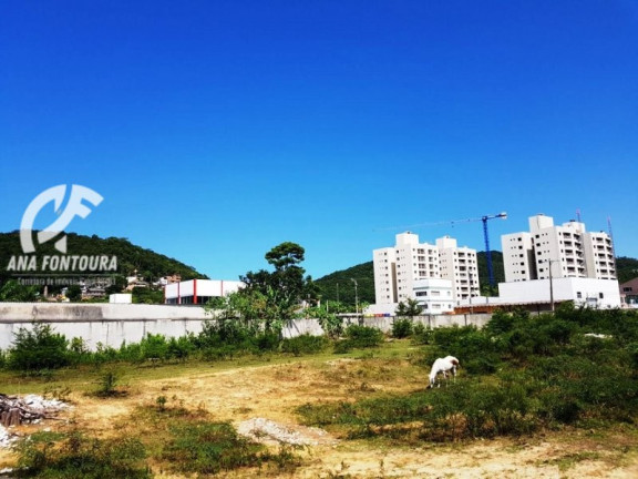 Imagem Imóvel à Venda, 3.875 m² em São Francisco De Assis - Camboriú Imagem Imóvel à Venda, 3.875 m² em São Francisco De Assis - Camboriú