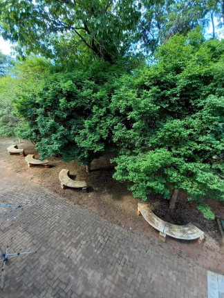 Imagem Chácara com 3 Quartos à Venda, 8.000 m² em Centro - Bady Bassit Imagem Chácara com 3 Quartos à Venda, 8.000 m² em Centro - Bady Bassit