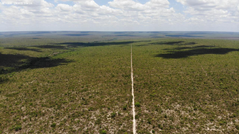 Imagem Fazenda à Venda, 14.000 m² em Rural - Cocos