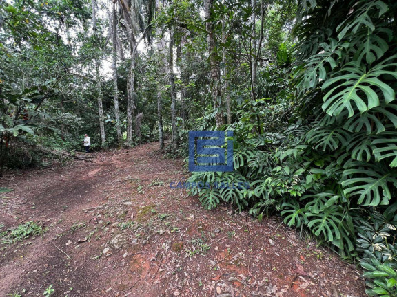 Imagem Chácara à Venda, 9.000 m² em Lavras Do Meio - Socorro