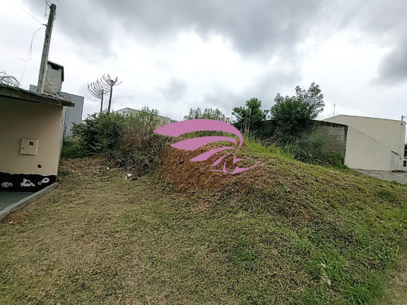 Imagem Terreno à Venda, 500 m² em Bom Jesus - São José Dos Pinhais Imagem Terreno à Venda, 500 m² em Bom Jesus - São José Dos Pinhais