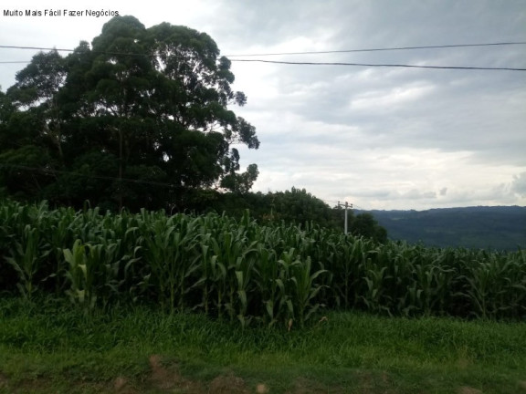 Terreno à Venda, 600 m² em Pinhal Alto - Nova Petropolis
