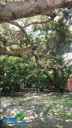 Imagem Terreno à Venda, 4.582 m² em Br367 - Santa Cruz Cabrália Imagem Terreno à Venda, 4.582 m² em Br367 - Santa Cruz Cabrália
