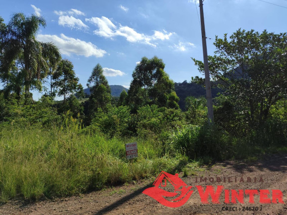 Imagem Chácara à Venda, 5 m² em Canto Lippert - Linha Nova
