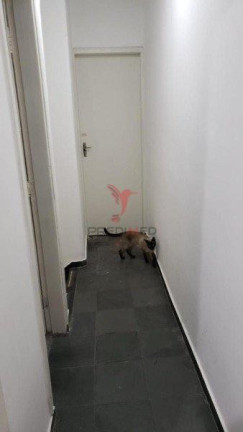Imagem Casa com 3 Quartos à Venda, 100 m² em Nova Piraju - São Paulo Imagem Casa com 3 Quartos à Venda, 100 m² em Nova Piraju - São Paulo