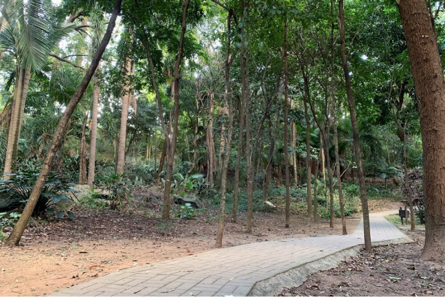 Imagem Apartamento com 3 Quartos à Venda, 73 m² em Vila Amélia - São Paulo