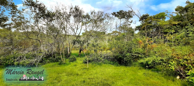Imagem Imóvel à Venda, 8.650 m² em Caxeta - Campos Dos Goytacazes