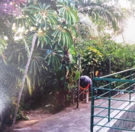 Imagem Imóvel com 2 Quartos à Venda, 1.200 m² em Jardim Nova Conquista - São Paulo