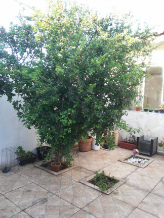 Imagem Casa com 4 Quartos à Venda, 150 m² em Wanel Ville - Sorocaba