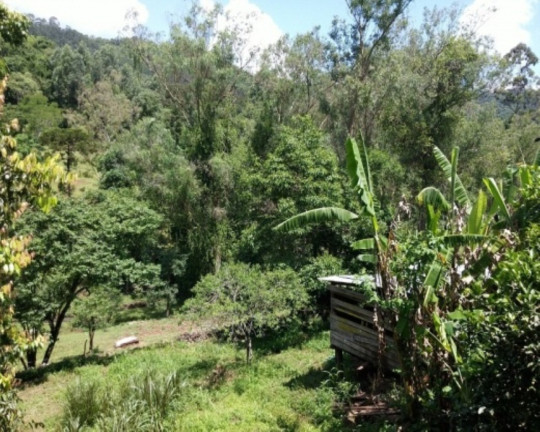 Imagem Imóvel com 4 Quartos à Venda, 88 m² em Vila Olinda - Nova Petrópolis Imagem Imóvel com 4 Quartos à Venda, 88 m² em Vila Olinda - Nova Petrópolis