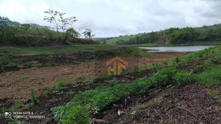 Imagem Fazenda à Venda, 160.000 m² em Rural - Paudalho Imagem Fazenda à Venda, 160.000 m² em Rural - Paudalho