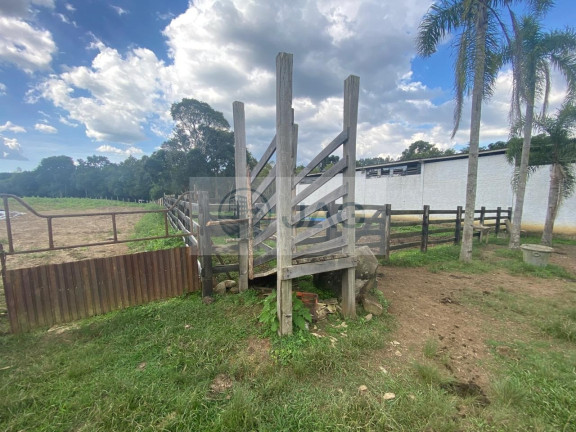Imagem Imóvel com 6 Quartos à Venda, 3.000 m² em Distrito Industrial - Campina Grande Do Sul Imagem Imóvel com 6 Quartos à Venda, 3.000 m² em Distrito Industrial - Campina Grande Do Sul