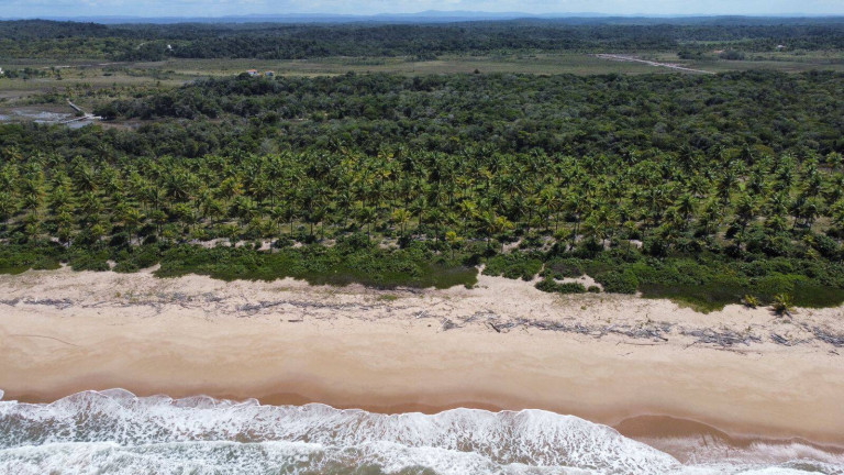 Imagem Chácara à Venda, 20.000 m² em Marau Imagem Chácara à Venda, 20.000 m² em Marau