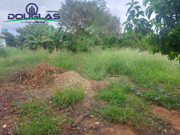 Imagem Terreno à Venda, 448 m² em Viamão Imagem Terreno à Venda, 448 m² em Viamão